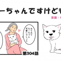 ちーちゃんですけどもっ【第304話】「なんでそうなのか」