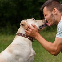 犬とのキスが危ない３つの理由　起こりうる感染症のリスクについて解説