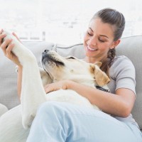 お散歩後の犬の足は洗うべき？拭くべき？触られるのが苦手な場合のコツや改善策まで