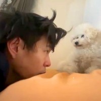 『顔を舐められたくない飼い主』と『舐めたい犬』の攻防戦→まさかの『悔しくてブチギレる光景』が281万再生「間抜けで好きｗ」「文句がｗ」