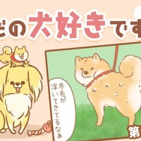 ただの犬好きです。【第307話】「春の風物詩」