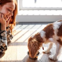 犬が食べても大丈夫な『春の野菜』5選　注意すべき与え方や適正量まで解説