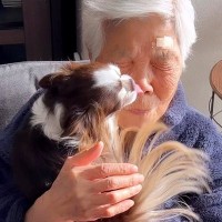 おばあちゃんの顔に犬が『しゅきしゅき攻撃』をした結果→優しさ感じる『まさかの結末』が5万再生「最後笑ったｗ」「ふたりとも可愛い」と絶賛