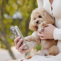 愛犬のことが大好きすぎて困ること6選　あなたもやっているかも？飼い主がついやりがちな行動とは