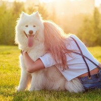 犬が飼い主に『背中を向ける』心理5選　愛犬がおしりをくっつけてきたときの適切な対応とは？