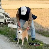 外にいるおじいちゃんと犬に『黙ってすれ違うドッキリ』をした結果…完全に想定外だった『衝撃の展開』が673万再生「腹痛いｗ」「可愛い最高」