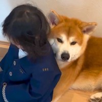 朝、登園準備中の女の子と秋田犬が…同時に見せた『まさかの行動』が107万再生「本当に仲良しなの伝わる」「最高のパートナー」と大絶賛の声