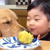 2歳の男の子がお芋を食べていたら、大型犬が…まさかの『穏やかではない手段に出る光景』が52万再生「可愛すぎるｗ」「我慢したよね笑」と反響