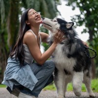 犬が『味方』だと認めている人にみせる行動4つ　愛犬から信頼してもらう方法までご紹介