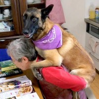 本を読んでいるおばあちゃん→背後から『大型犬が近づいた』結果…まるで本当の孫のような『甘え方』に「癒やされる」「羨ましい」と6万再生