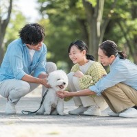 『好かれがちな犬』がよくみせる6つの行動　愛犬が社交的に育つためのポイントとは