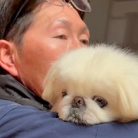 仕事に行く前のお父さんと犬→お互い離れたくなくて…想像以上に『相思相愛な光景』が話題「悲しそう」「顔がｗ」と2万再生