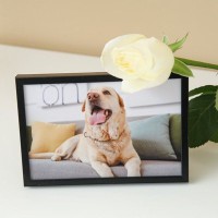 愛犬を亡くした人に絶対言ってはいけない言葉5つ　ペットロスが悪化するNGワードとは？