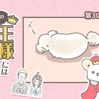 うちの王様にはどうしても抗えない【第302話】「わざとじゃないです」