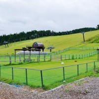 犬のドッグランで絶対やってはいけない『タブー行為』３つ　利用する前に必ず知っておくべきこととは？