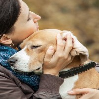 犬の性格が突然変わってしまう要因5つ　愛犬に起きた変化とは？正しい対処法まで解説