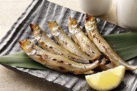 【獣医師監修】犬にししゃもは絶対NG！食べると危険な理由と対処法を解説