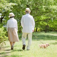 犬を散歩させるときの『絶対NGなコース』５選　安全なルート選びのコツまで