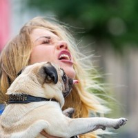 犬が人の『顔を舐める』心理5選　やめさせなくて大丈夫？しつこくしてくるときの対処法まで