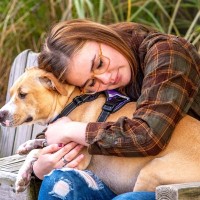 犬が本当は嫌がっている『スキンシップ』４選　続けていると愛犬に嫌われてしまう可能性も