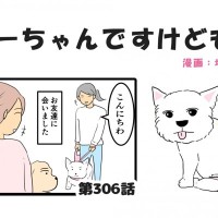 ちーちゃんですけどもっ【第306話】「空気が読めない」