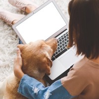 犬を飼うのに『必要な年収・貯金額』とは？いくらあれば安心できるの？飼育前にすべき準備まで