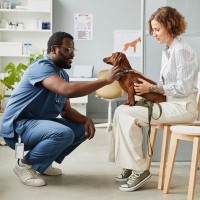 動物病院で『絶対に守るべき』４つのマナー　トラブルを起こさないために飼い主がすべきこととは