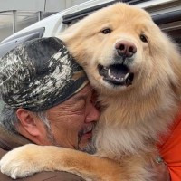 アラスカから帰ってきたお父さん→大型犬との『1ヶ月ぶりの再会』で…愛情が爆発している『感動の瞬間』が61万表示「泣ける」「表情が最高」