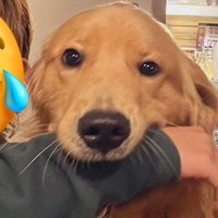 お母さんが大型犬とツーショットを撮影→なぜか口の中に…小さなころから変わらない光景が150万表示「腕がｗ」「銀魂かな？」と爆笑の声