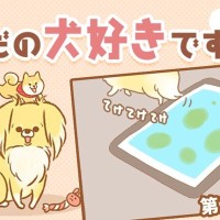 ただの犬好きです。【第310話】「義務」