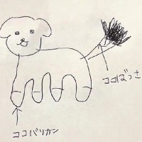 犬のトリミングで『雑過ぎるオーダー』をしてしまった結果…あまりにも衝撃的な『ビフォーアフター』が200万再生「正解が知りたいｗ」「爆笑」