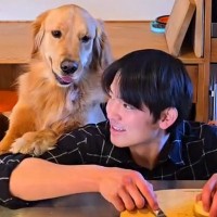 想像以上の名アシスタント…！大型犬に指示を出したら→まさかの『料理を手伝ってくれる光景』が10万再生「お利口すぎ」「幸せな時間」