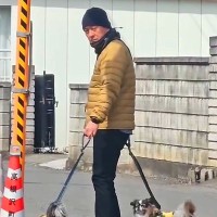 『お散歩中の夫と犬』を追いかけてみたら…まさかの『不審者と勘違いする光景』が401万再生「目つき鋭すぎて草」「全然気が付かないｗ」と爆笑