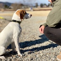 犬が『初めて会った人』にみせる行動４つ　仲良くなるための秘訣や注意すべきことをご紹介
