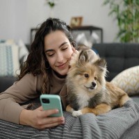 愛犬が困ってしまう『飼い主の行動』4つ　あなたは大丈夫？実は逆効果になっているかも…