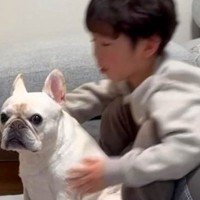 小さな男の子に『犬が他の犬にイジメられちゃった』と伝えた結果…イケメンすぎる『まさかの光景』が泣けると107万再生「最高の関係」と絶賛