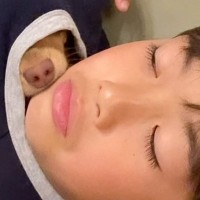 『どうしてそうなった』男の子のことが好きすぎる犬→服の中に入って…まさかの光景が159万再生「平和な世界」「鼻しか出てないのに可愛い」