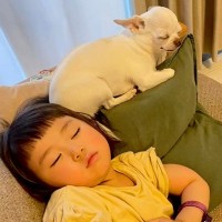 赤ちゃんがおねんねしていると、犬が近づいて…あまりにも尊い『本当の姉妹のような光景』に「癒される」「お互い大好きなのが伝わる」と悶絶の声