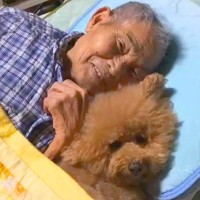 『約４ヵ月前に亡くなった祖父母』犬との何気ない日常を振り返ったら…あまりにも愛にあふれた光景が48万再生　心温まる尊い記録に思わず感動
