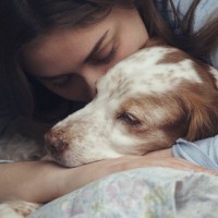 【獣医師監修】犬のうつ病とは？心の病気の原因、症状から対処法まで徹底解説