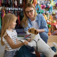お金をかけるべき『犬用品』4選　愛犬の安全や健康状態を保つために必要なモノとは？