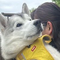 大型犬が甘えん坊に育った結果→自分の大きさを理解していない『まさかの光景』に3万いいね「赤ちゃんの顔してて可愛い」「大きな赤ちゃん」の声