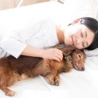 犬が『飼い主のそばで眠る』心理４選　近づいて寝たがるワケや正しい対応の仕方まで解説