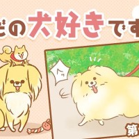 ただの犬好きです。【第312話】「態度で示す」