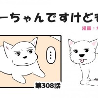 ちーちゃんですけどもっ【第308話】「嬉しいけども」