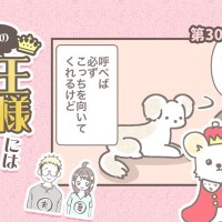うちの王様にはどうしても抗えない【第306話】「キモいので」