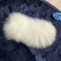 スマホ整理中に『謎の白い綿の写真』を発見して…愛おしすぎる『まさかの正体』に2万いいね「耳かきの上についてるやつ」「ケセランパサラン」