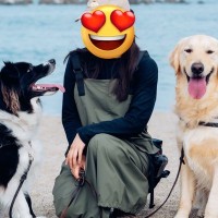 ２頭の犬と一緒に『海で写真を撮ろうとした』結果…多頭飼いの『理想と現実』に7万いいね集まる「めっちゃわかるｗ」「二刀流剣士かと笑」と爆笑