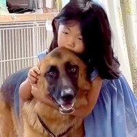 『数十年後、大人になった時に…』小さな女の子と大型犬が"一緒に成長していく光景"に涙が溢れると65万再生「泣けてきた」「素敵な日々を」
