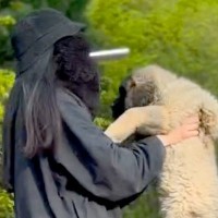 大型犬の赤ちゃんを抱っこして撮影→数年後『全く同じ撮り方』をしてみた結果…「撮り方が天才」「面白すぎるｗｗ」まさかの光景が話題に